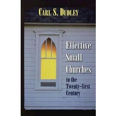 Effective Small Churches in the Twenty-First Century Paperback, Abingdon Press