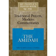 My People's Prayer Book Vol 2: The Amidah Hardcover, Jewish Lights Publishing