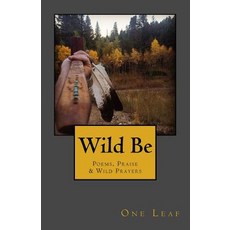 Wild Be: Poems Praise & Wild Prayers Paperback, Middle Creek Publishing & Audio