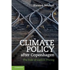 Climate Policy After Copenhagen: The Role of Carbon Pricing Paperback, Cambridge University Press