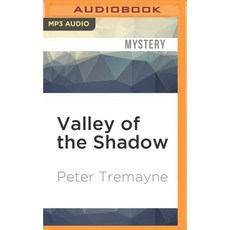 Valley of the Shadow MP3 CD, Audible Studios on Brilliance