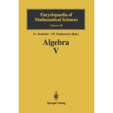 Homological Algebra Paperback, Springer