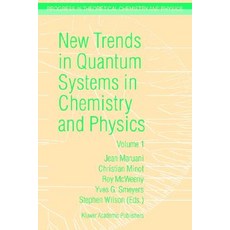 New Trends in Quantum Systems in Chemistry and Physics: Volume 1 Basic Problems and Model Systems Paris France 1999 Paperback, Springer