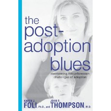 The Post-Adoption Blues: Overcoming the Unforseen Challenges of Adoption Paperback, Rodale Books