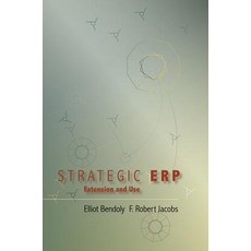 Strategic Erp Extension and Use Hardcover, Stanford Business Books
