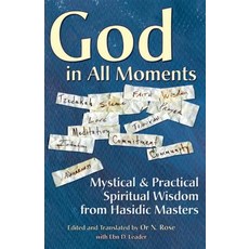 God in All Moments: Mystical & Practical Spiritual Wisdom from Hasidic Masters Hardcover, Jewish Lights Publishing