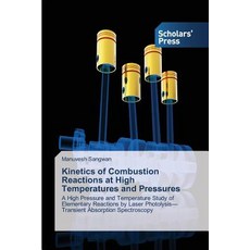 Kinetics of Combustion Reactions at High Temperatures and Pressures Paperback, Scholars' Press