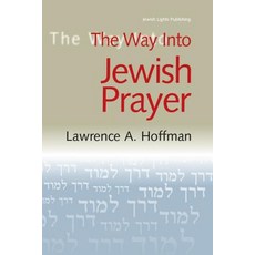 The Way Into Jewish Prayer Hardcover, Jewish Lights Publishing