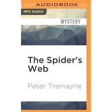 The Spider's Web MP3 CD, Audible Studios on Brilliance