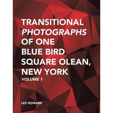 Transitional Photographs of One Blue Bird Square Olean New York: Volume 1 Paperback, Trafford Publishing