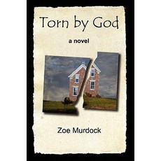 Torn by God: A Family's Struggle with Polygamy Paperback, Hot Press Books