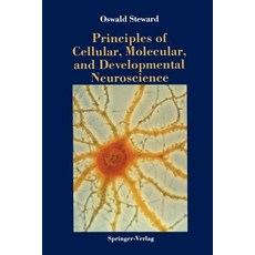 Principles of Cellular Molecular and Developmental Neuroscience Paperback, Springer