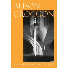 New and Selected Poems 1991-2017 Paperback, Newport Street Books