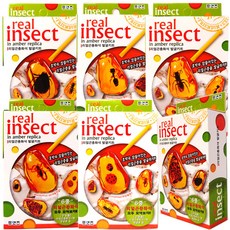 프랜즈 3000 리얼곤충화석 발굴키트 곤충화석 호박속리얼곤충 과학실험키트