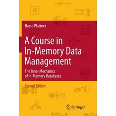 A Course in In-Memory Data Management: The Inner Mechanics of In-Memory Databases Paperback, Springer