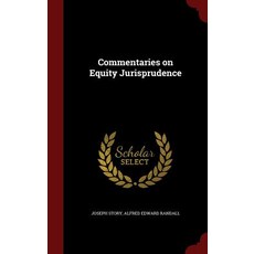 Commentaries on Equity Jurisprudence Hardcover, Andesite Press