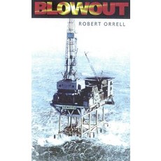 Blowout Paperback, Sheridan House