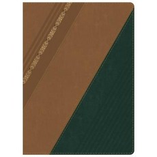 Biblia de Estudio Holman-Rvr 1960 Imitation Leather, B&H Espanol