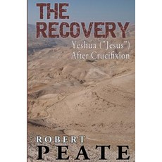 The Recovery Paperback, Createspace Independent Publishing Platform