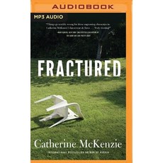 Fractured MP3 CD, Brilliance Audio