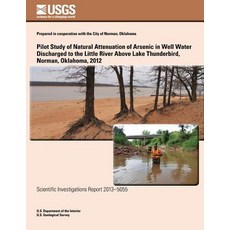 Pilot Study of Natural Attenuation of Arsenic in Well Water Discharged to the Little River Above Lake ..., Createspace