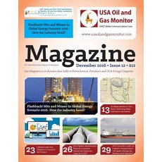 Flashback!hits and Misses in Global Energy Scenario 2016-How the Industry Fared?: New Pipeline Infrast..., Createspace Independent Publishing Platform