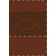 Rvr Santa Biblia Ultrafina Compacta, Vida Publishers