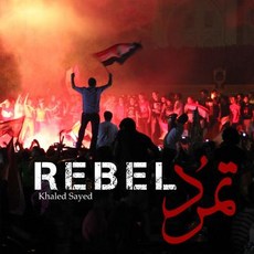 Rebel: In Four Days in 2013 the Largest Protest in Human History Ended the Islamist Regime of Egyptia..., Createspace Independent Publishing Platform