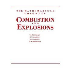 The Mathematical Theory of Combustion and Explosions Paperback, Springer