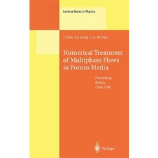 Numerical Treatment of Multiphase Flows in Porous Media: Proceedings of the International Workshop Hel..., Springer