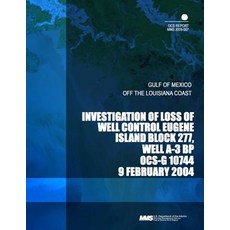 Investigation of Loss of Well Control Eugene Island Block 277 Well A-3 BP Ocs-G 10744, Createspace
