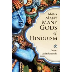 Many Many Many Gods of Hinduism: Turning Believers Into Non-Believers and Non-Believers Into Believers, Createspace Independent Publishing Platform