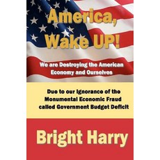 America Wake Up! We Are Destroying the American Economy and Ourselves: The Economic Fraud Called Gove..., Createspace Independent Publishing Platform