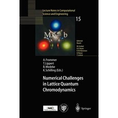 Numerical Challenges in Lattice Quantum Chromodynamics: Joint Interdisciplinary Workshop of John Von N..., Springer