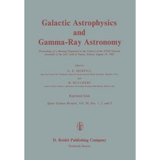 Galactic Astrophysics and Gamma-Ray Astronomy: Proceedings of a Meeting Organised in the Context of th..., Springer