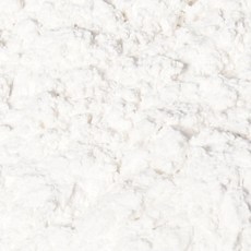 지안네이처 화이트석고분말 석고방향제만들기, 화이트, 무향