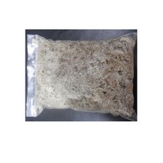 밀림펫 수태(습지바닥제), 1개