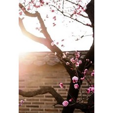 Republic of Korea Notebook: 150 Lined Pages Softcover 6 X 9 Paperback, Createspace Independent Publishing Platform