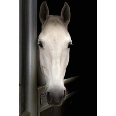 Horse Notebook: 150 Lined Pages Softcover 6 X 9 Paperback, Createspace Independent Publishing Platform