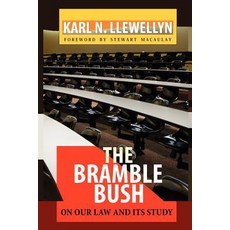 The Bramble Bush: On Our Law and Its Study Paperback, Quid Pro, LLC