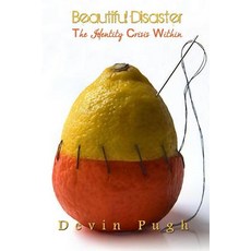 Beautiful Disaster: The Identity Crisis Within Paperback, Createspace Independent Publishing Platform