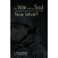 The War Stole My Soul with Post-Traumatic Stress Disorder (Ptsd): What Now? Paperback, Resource Publications (CA)
