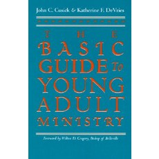 The Basic Guide to Young Adult Ministry Paperback, Orbis Books