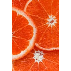 Vibrant Orange Citrus Journal: 150 Page Lined 6 X 9 Notebook/Diary/Journal Paperback, Createspace Independent Publishing Platform