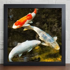 꾸밈 iy687-복이들어오는풍수잉어인테리어액자 액자, 블랙-2타입