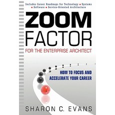 Zoom Factor for the Enterprise Architect: How to Focus and Accelerate Your Career Paperback, Firefli Media