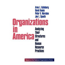 Organizations in America: Analysing Their Structures and Human Resource Practices Paperback, Sage Publications, Inc