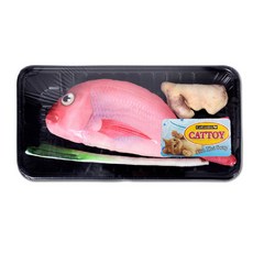 캣가든 고양이용 옥돔 매운탕 캣닢쿠션 세트