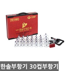 한솔 부항기 30컵+지압봉10개+권총형펌프+연결줄, 1개