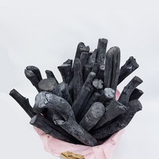 한반도농원 비장탄 3kg 숯중에 가장 최상급 공기정화 통숯 제습 미세먼지제거도움 숯, 1개